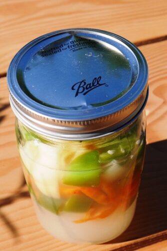 Quick Visual Guide to Vegetable Fermentation Questions